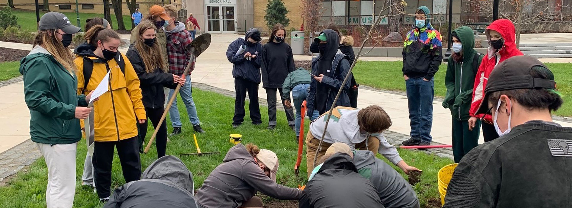 Faculty, staff and students plant a tree