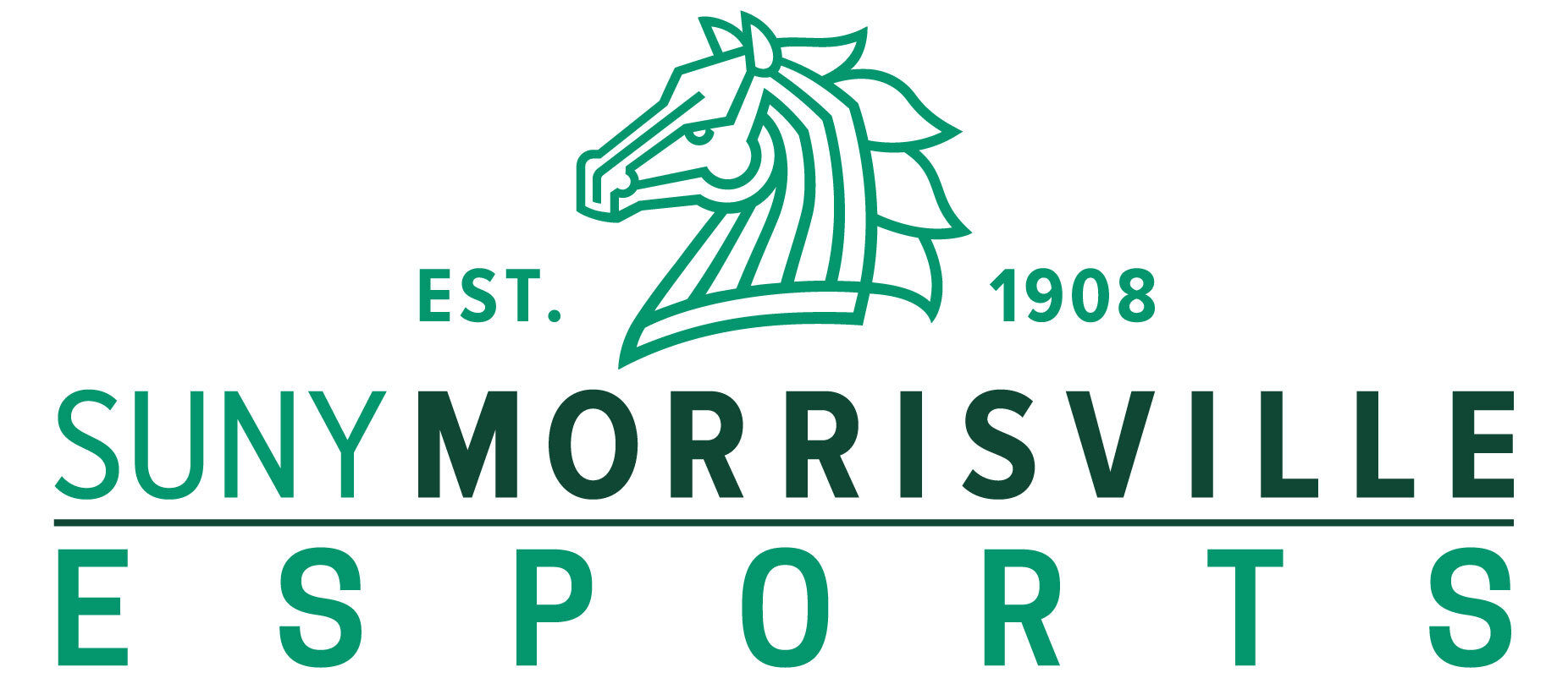 SUNY Morrisville Esports Banner