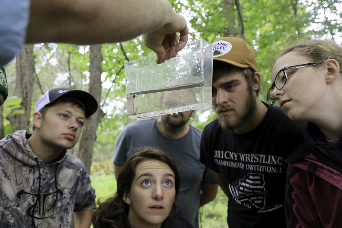 Students in Eric Diefenbacher’s Herpetology class view bluegill fry at Rogers Environmental Education Center in Sherburne.