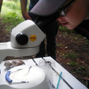 A Norwich student uses a field microscope to observe a species found at Owens West Wildlife Management Area during a “live-learning” Herpetology class.