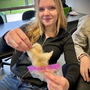 Students in Associate Professor Corey Hayes' Sheep Production and Management System class evaluate wool.
