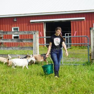 A student works with livestock in the Ag Science program.